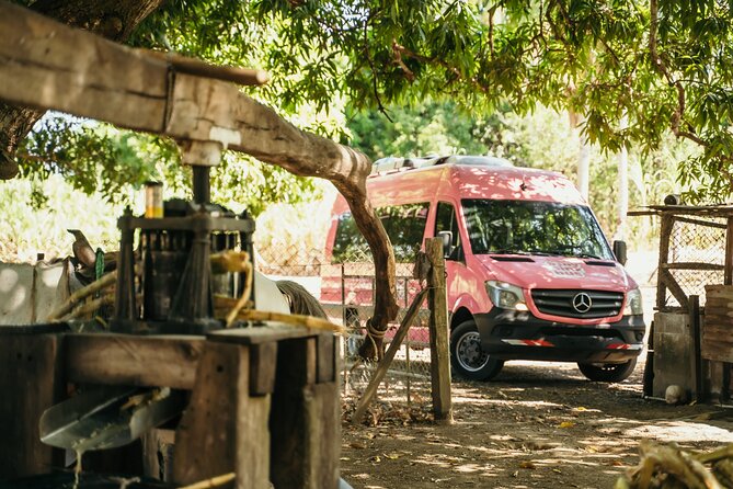 Shuttle From La Fortuna to San Jose - Pickup and Drop-off Arrangements
