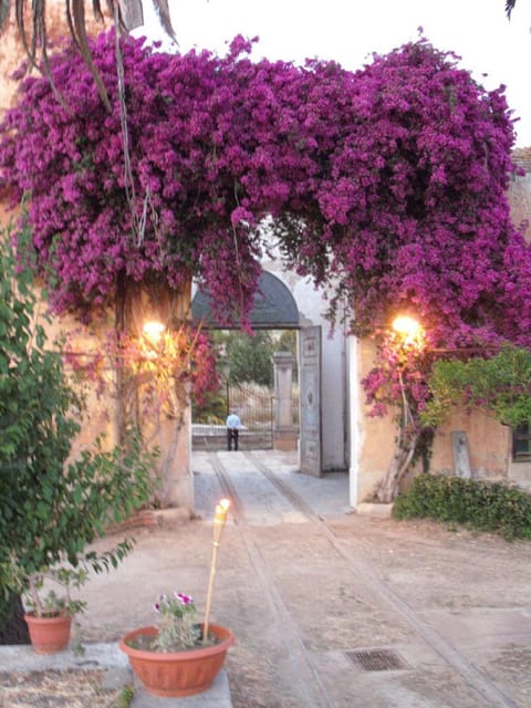 Sicilian Cooking Class in the Historic Baglio Florio Adamo - Cooking Experience