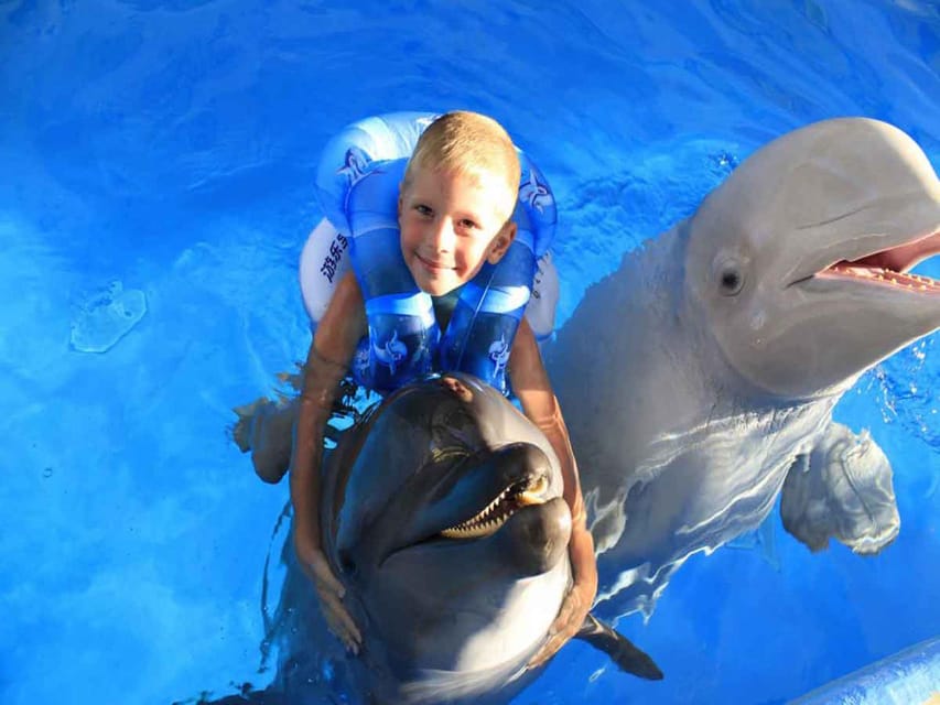 Side/Alanya: Swimming With Dolphins - Booking Your Adventure