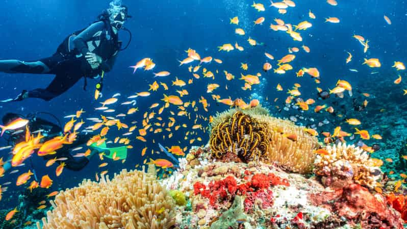 Side: Scuba Diving Tour Journey To The Depths Of The Blue - Scuba Diving Experience