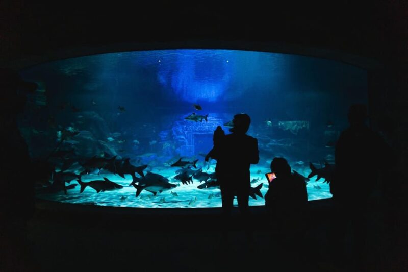 Siem Reab: Angkor Wildlife & Aquarium - Booking Your Experience