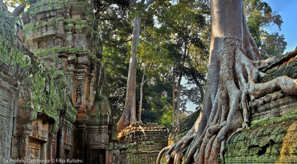 Siem Reap: 2-Day Angkor Sunrise, Banteay Srey, & Beng Mealea - Itinerary Highlights