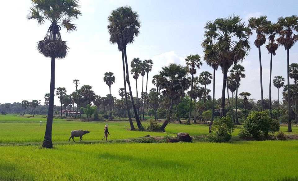 Siem Reap: 3-Hour Ancient Trails Motorbike Tour - Experience Highlights