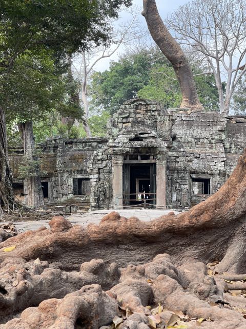 Siem Reap: Angkor Solo Traveler Private Sunrise Tour - Itinerary Highlights