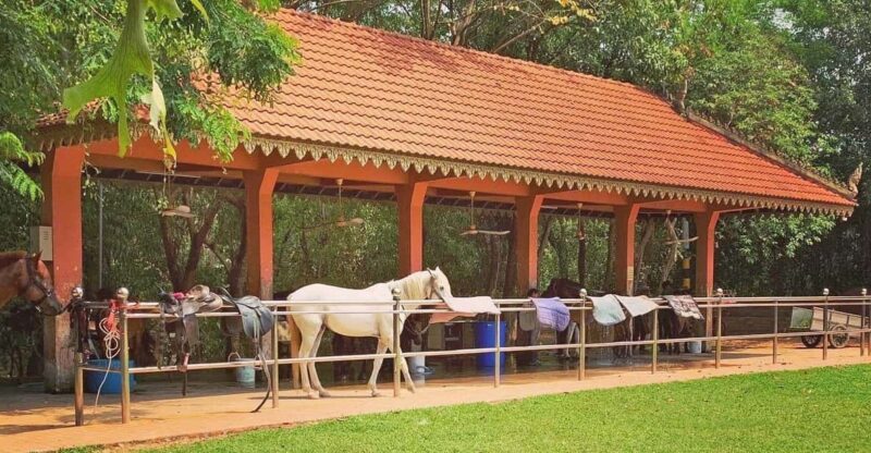 Siem Reap Happy Horse Riding Free Pick-up & Drop-off - Booking Information