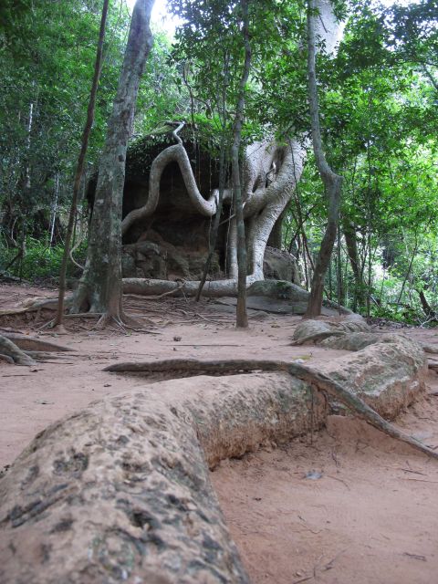 Siem Reap: Kbal Spean and Banteay Srei Temple Private Hike - Itinerary Highlights