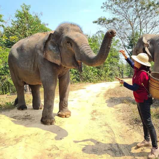 Siem Reap: Kulen Elephant Forest Hotel Pickup and Drop off - Itinerary Details