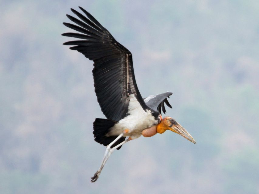 Siem Reap: Prek Toal Tonle Sap Biosphere Reserve Tour - Importance of the Biosphere Reserve