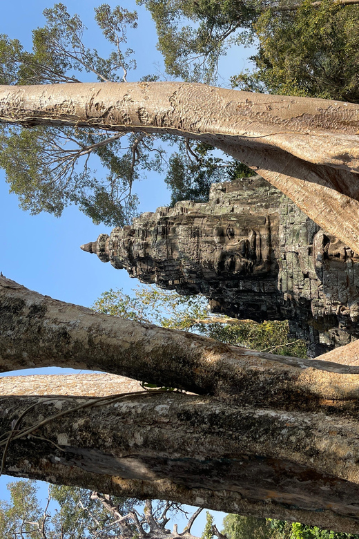 Siem Reap: Private Angkor Wat Full Day Experience - Itinerary Highlights