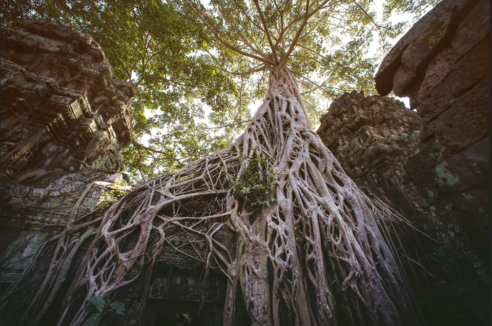 Siem Reap : Private Tuk-Tuk Tour of the Magnificent Temples. - Customer Feedback