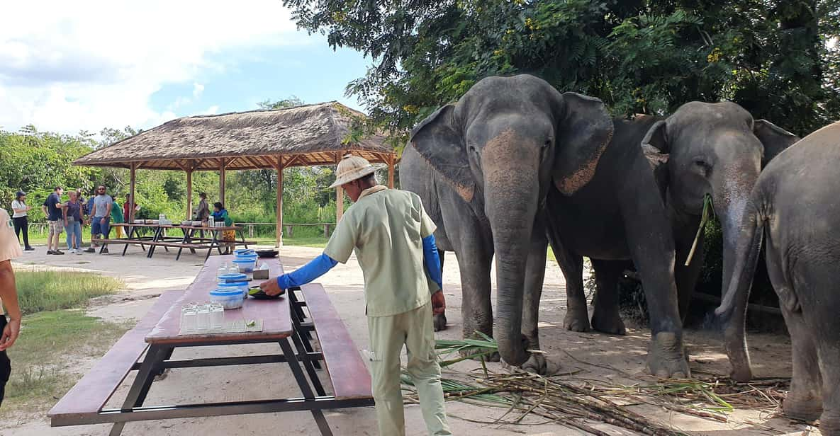 Siem Reap: Small Group Tour of Kulen Elephant Forest - Experience and Itinerary