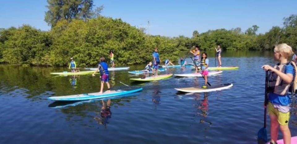 Siesta Key: Mangrove Kayak or Paddleboard Tour - Experience Highlights