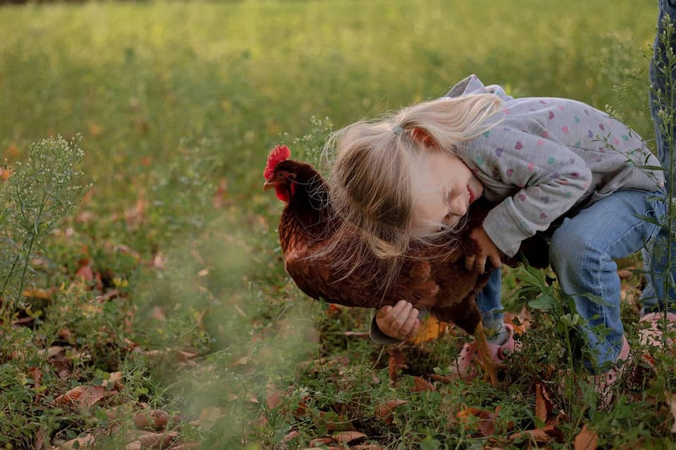 Sightseeing and Educational Farm Tour on Bainbridge Island - Highlights of the Tour