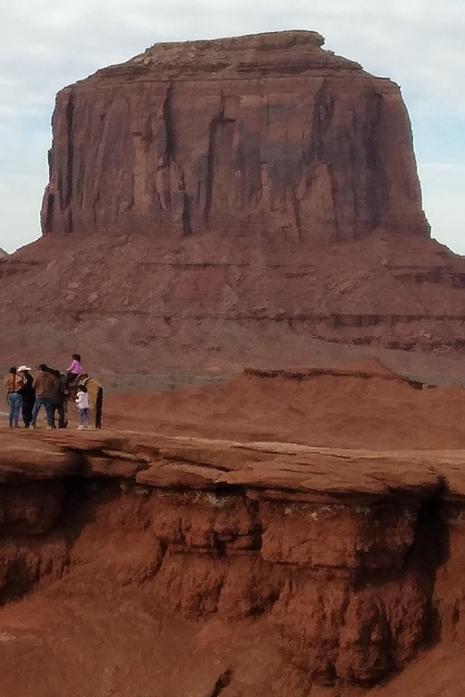 Sightseeing Vehicle Tour - Booking Information