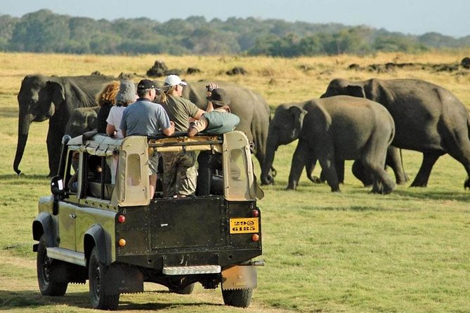 Sigiriya Day Tours With Sri Lanka Friendly Driver - Meeting and Pickup