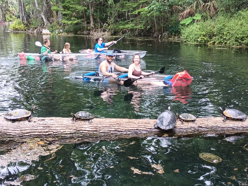 Silver Springs: Guided Clear Kayak or Paddleboard Gator Tour - Inclusions