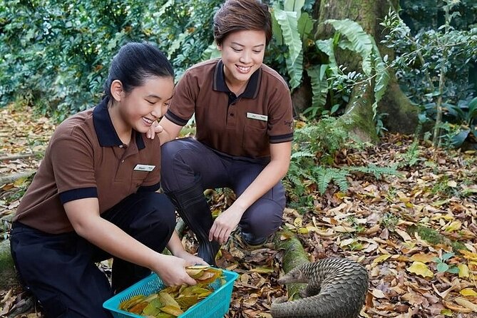 Singapore Zoo Entry Ticket - Visitor Information Details