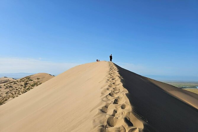 Singing Dunes & Aktau Mountains 1 Day Group Tour to Altyn Emel - Inclusions and Logistics