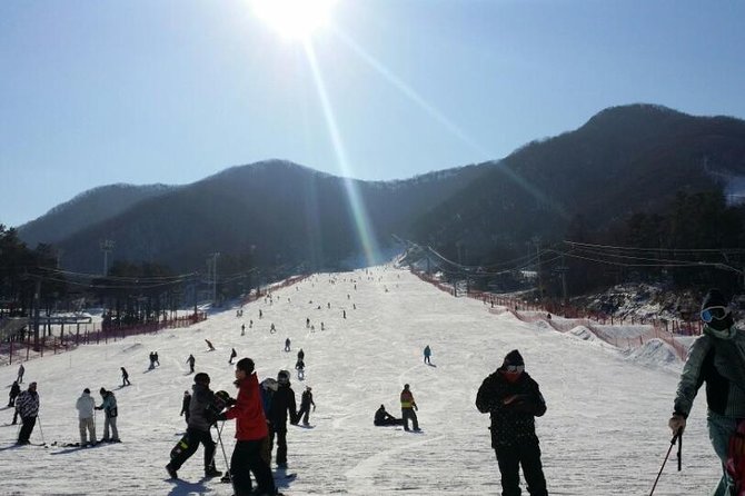 Ski Tour to Jisan Ski Resort From Seoul - Activities Available