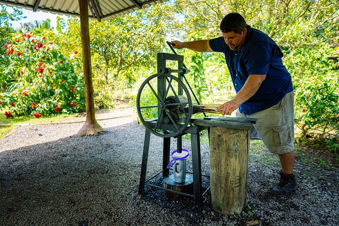 Sloth Tour in La Fortuna and Tortillas Cooking Class - Nature Exploration