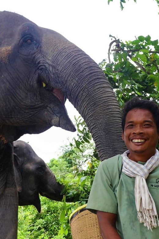 Small Group Tour of Kulen Elephant Forest in Siem Reap - Highlights of the Experience