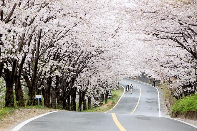 Smallgroup 7day Korea Package Tour With Seoul Gyeongju Busan Jeju - Jeju Island Highlights