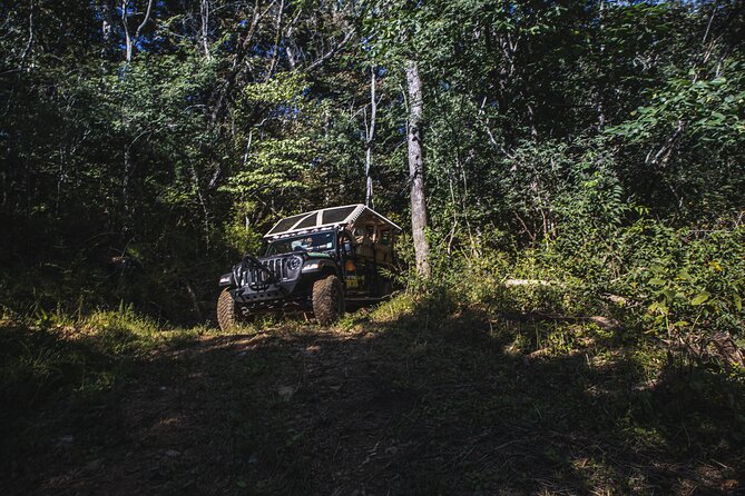 Smoky Mountains Roaring Fork Guided Sightseeing Tour by Jeep - Scenic Highlights