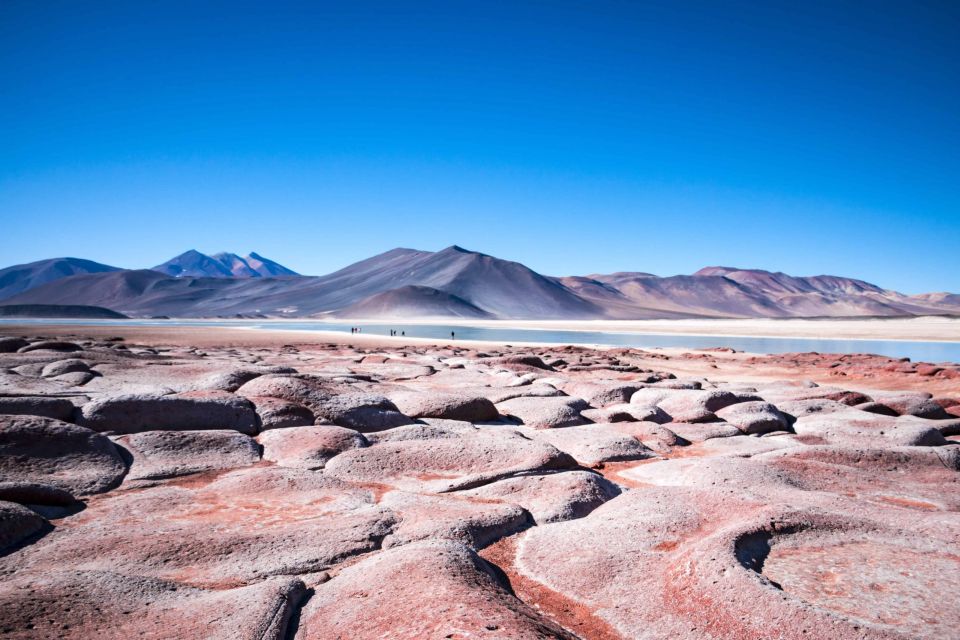 Snails: Red Stones of Atacama and Chaxa Guided Day Trip - Detailed Itinerary Highlights