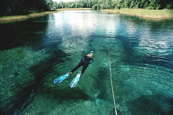 Snorkel Or Dive The Amazing Rainbow River Florida - Wildlife Encounter Opportunities