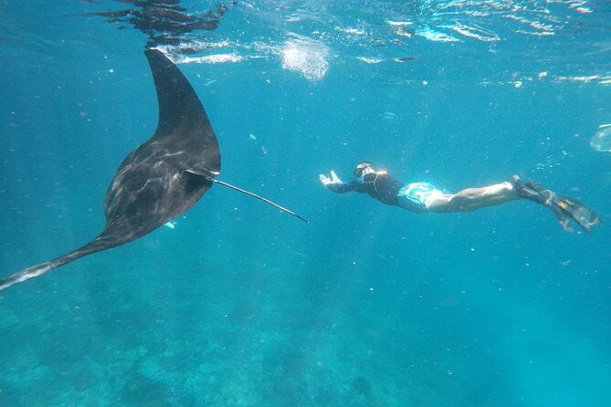 Snorkeling Manta Bay And West Penida Private Guided Tour - Itinerary Highlights