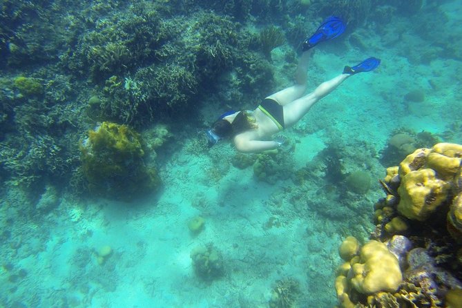 Snorkeling on the Caribbean Side of Panama - Tour Features and Inclusions