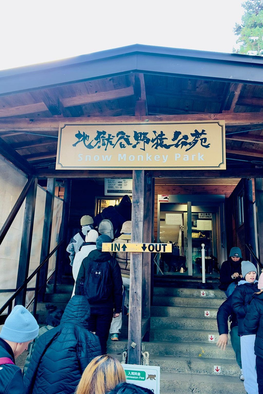 Snow Monkey and Zenko-ji Temple Nagano One Day Tour - Itinerary and Activities