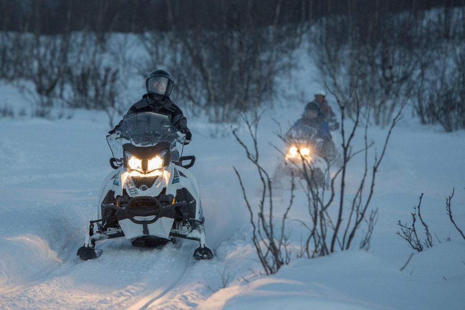 Snowmobile Adventure Abisko (Shared) - Experience and Highlights