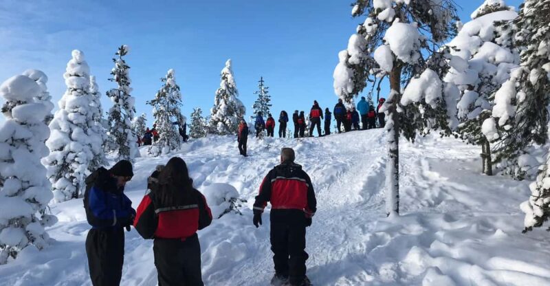 Snowshoeing Experience - Pricing and Reservation Details