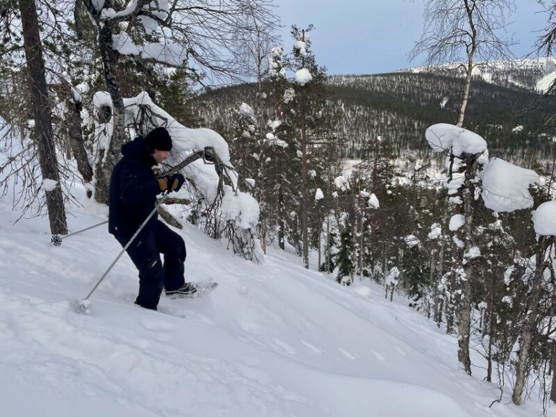 Snowshoeing in Levi - Experience Highlights