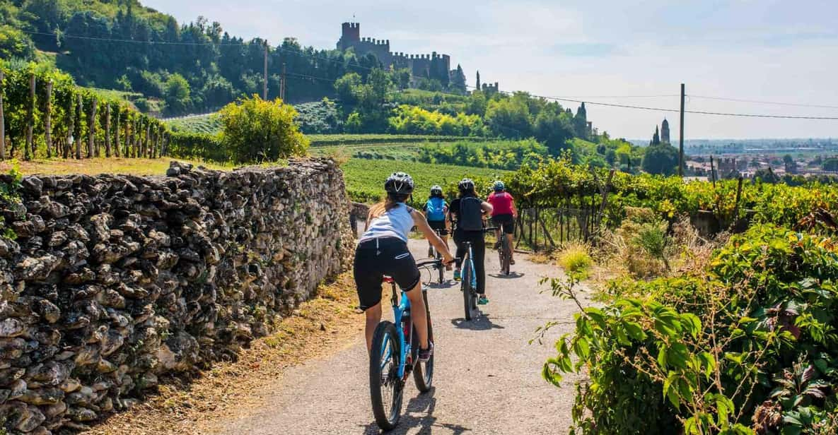 Soave by Bike, Olive Oil, Wine, the Countryside, the Castle. - The Perfect E-Bike Adventure