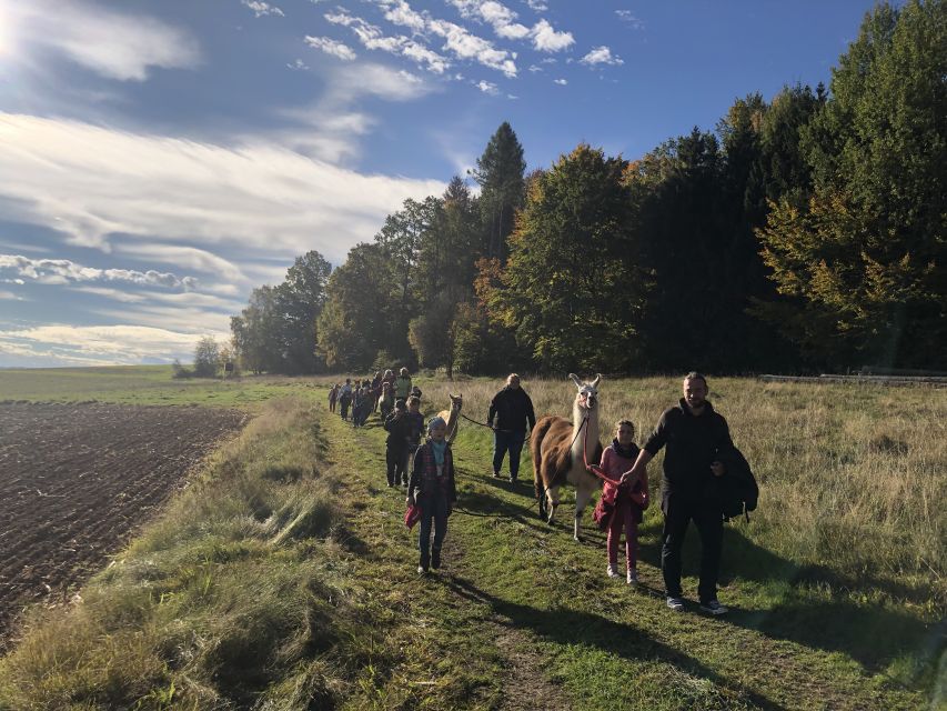 Sohland an Der Spree: Walk With an Alpaca - Experience Highlights