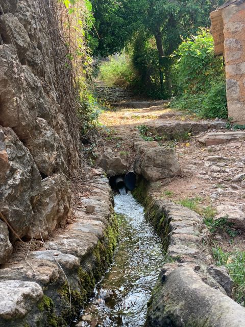 Soller Valley Walk: Small Villages and Citrus Farm Visit - Experience Highlights
