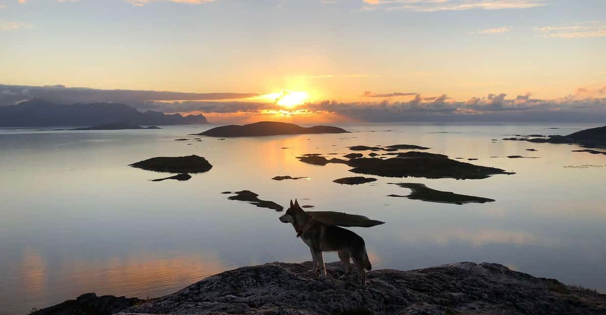 Sommarøy Islands, Tromsø: Midnight Sun Tour - Experience Highlights