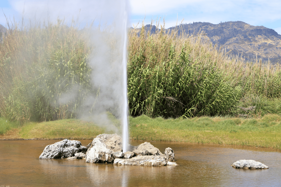 Sonoma & Napa Valley Self-Guided Driving Audio Tour - Tour Features