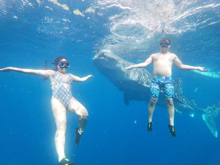 South Cebu:Oslob Whale Sharks & Inambakan Falls Journey - Itinerary Highlights