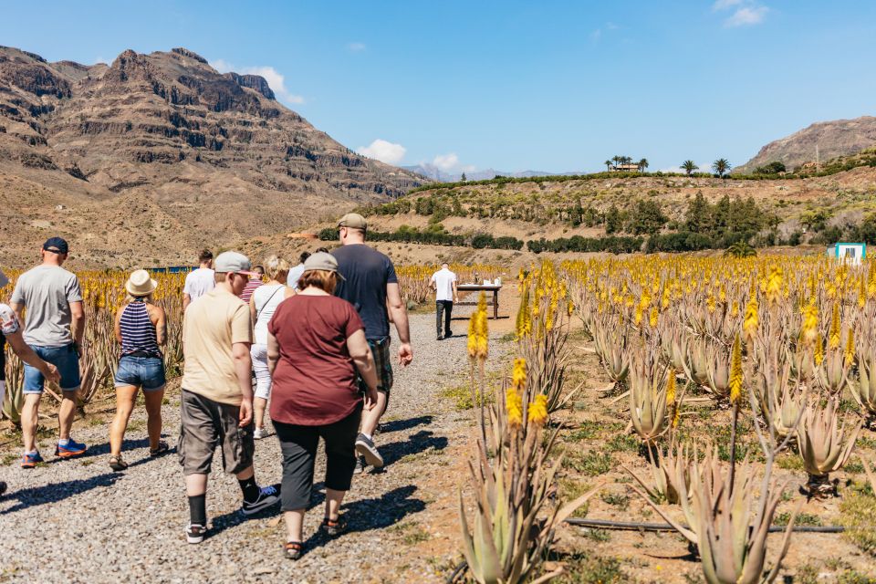 South Gran Canaria: Off-Road Valleys & Villages Jeep Tour - Itinerary and Highlights