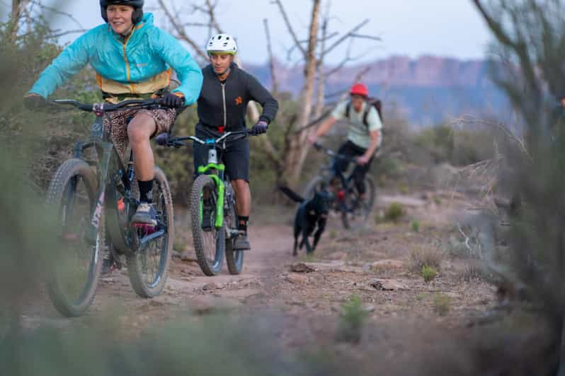 Southern Utah: Full Suspension Bike Rental With Delivery - Overview and Pricing