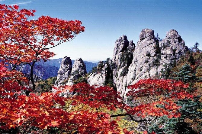 Special Private Tour Mt. Seorak, Gwongeum Fortress, Naksan Beach - Seoraksan National Park Highlights