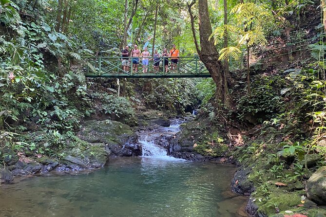 Special Private Waterfalls and Jungle Safari Tour - Hiking and Waterfalls