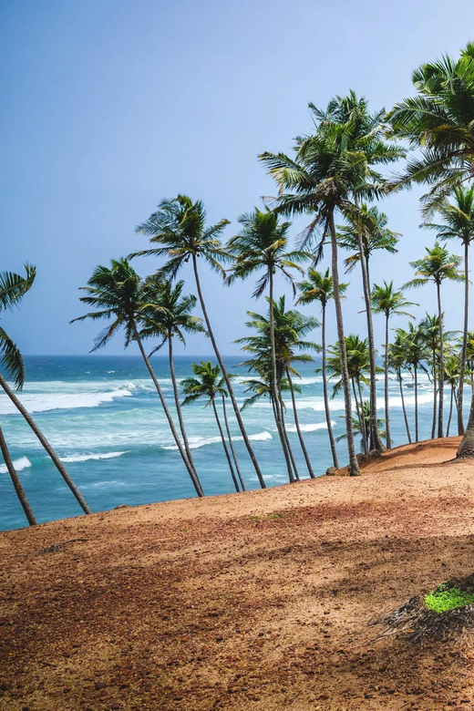 Sri Lanka: 10-Days Beachside Honeymoon Tour - Arrival and Bentota