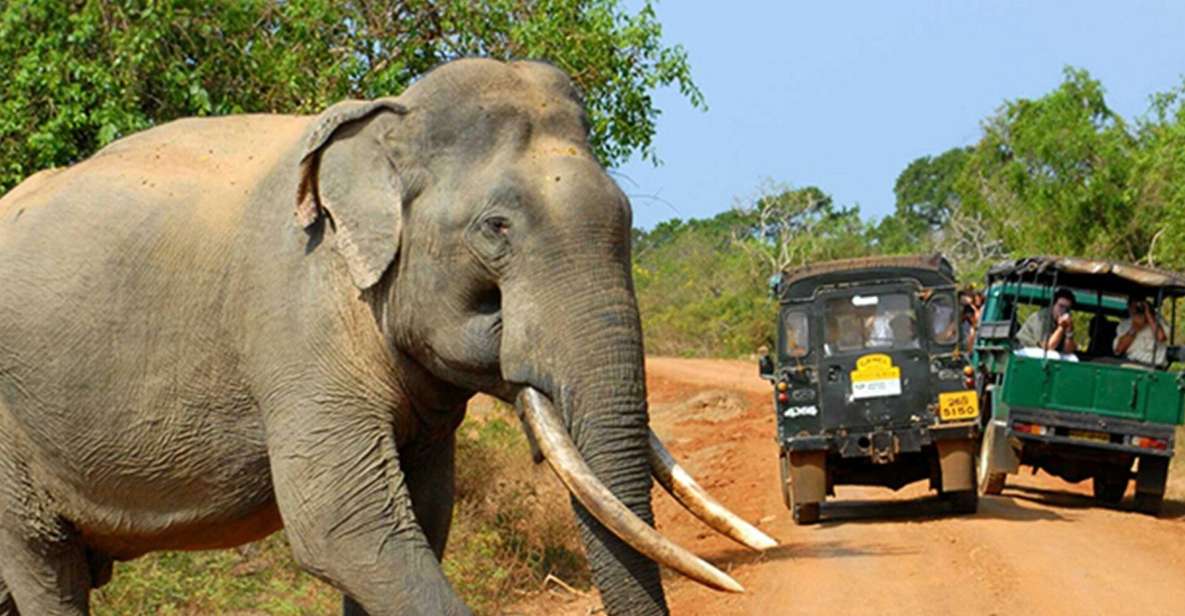 Sri Lanka: 2-Day Wildlife Tour; Rainforest and National Park - Itinerary and Activities