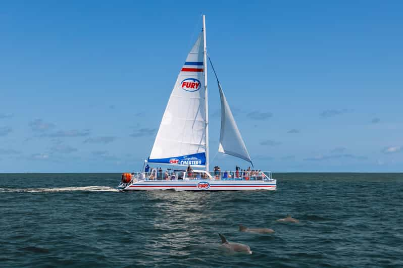 St.Augustine: Dolphin Watch & Historical Harbor Tour +Drinks - Experience Highlights