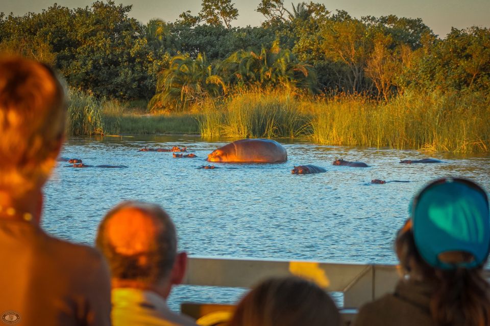 St Lucia: Hippo and Crocodile Cruise on a 15-Seat Vessel - Highlights of the Experience