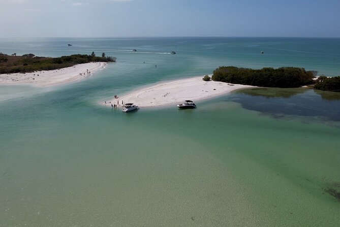 St. Pete Dolphin Watching and Shelling Adventure - Onboard Amenities and Features